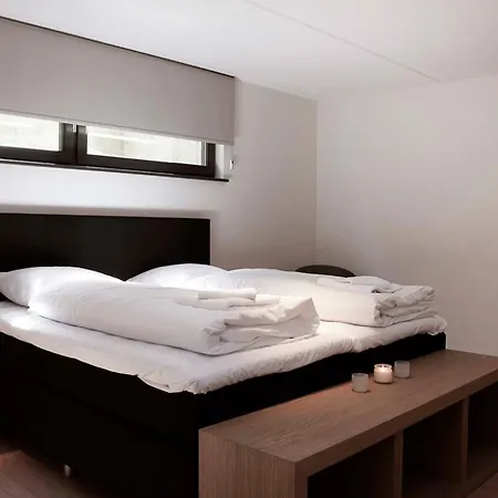 Dom wakacyjny Dutchen Duynvoet *