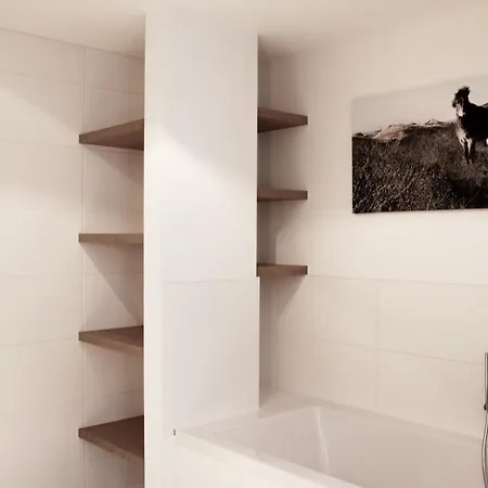 Dutchen Duynvoet * Schoorl