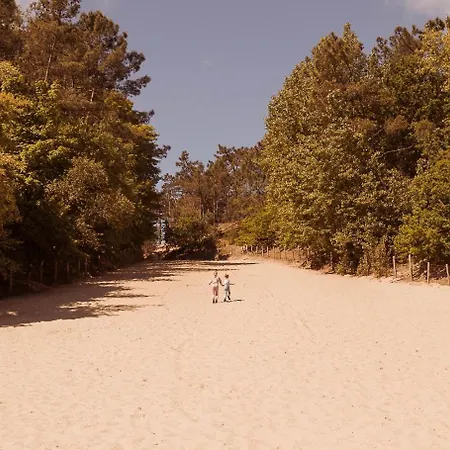 Dutchen Duynvoet Dom wakacyjny Schoorl