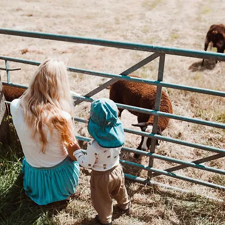 Dutchen Duynvoet Dom wakacyjny