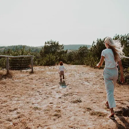 Dom wakacyjny Dutchen Duynvoet