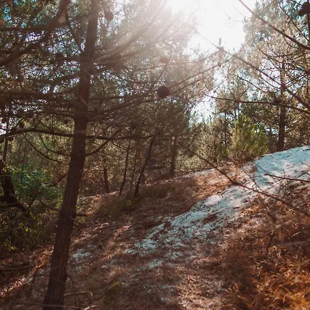 Dutchen Duynvoet Dom wakacyjny Schoorl