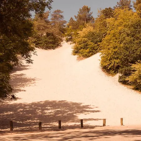 Dom wakacyjny Dutchen Duynvoet