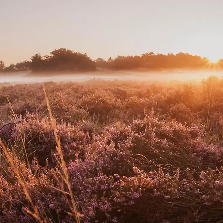 Dutchen Duynvoet Dom wakacyjny Schoorl
