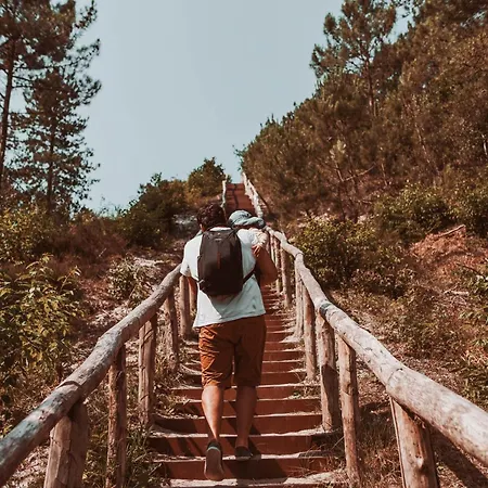 Dutchen Duynvoet * Schoorl