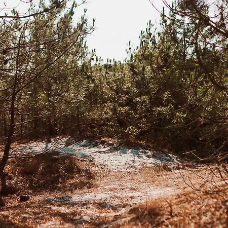 Dutchen Duynvoet Dom wakacyjny *