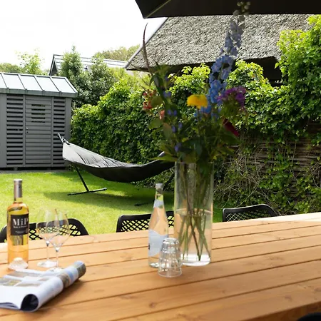 Dom wakacyjny Dutchen Duynvoet *