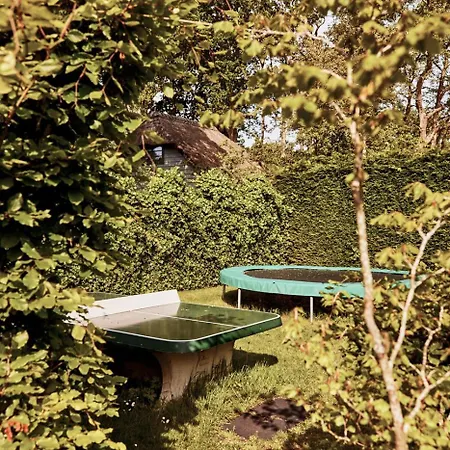 Dutchen Duynvoet Holiday home Schoorl