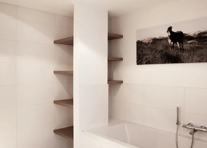 Dutchen Duynvoet * Схорл