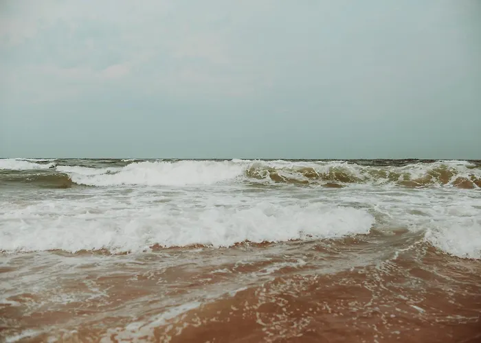 Dutchen Duynvoet * Схорл