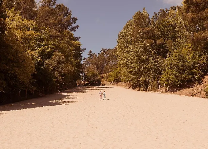 Dutchen Duynvoet Дом отдыха Схорл