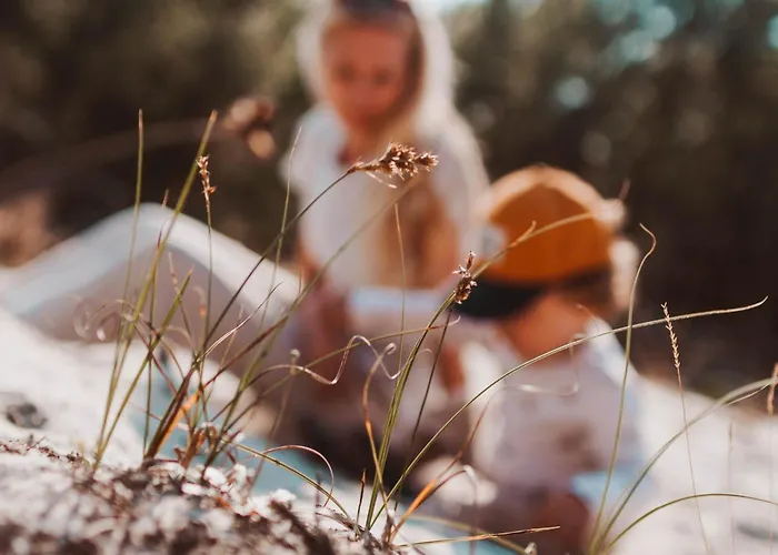 Dutchen Duynvoet * Схорл