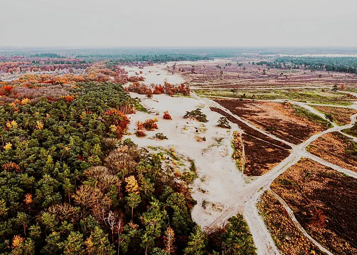 Дом отдыха Dutchen Duynvoet *