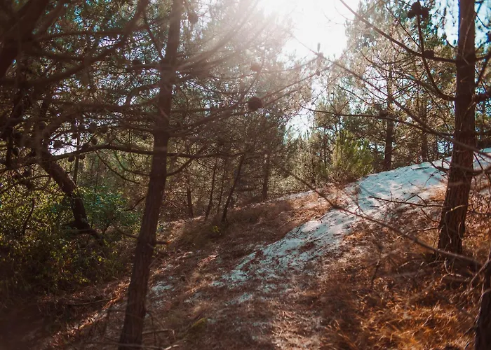 Dutchen Duynvoet Дом отдыха Схорл