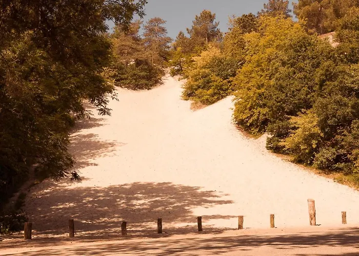 Дом отдыха Dutchen Duynvoet