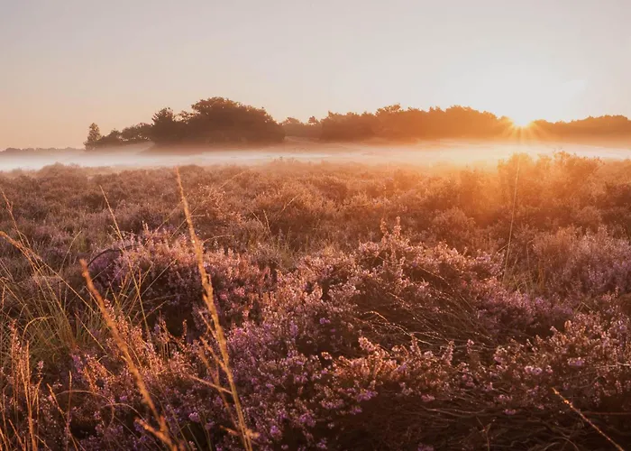 Dutchen Duynvoet Дом отдыха Схорл