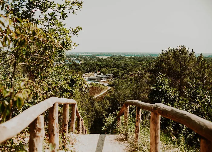 Дом отдыха Dutchen Duynvoet