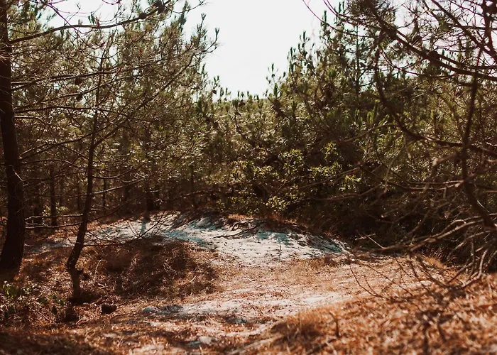 Dutchen Duynvoet Дом отдыха *