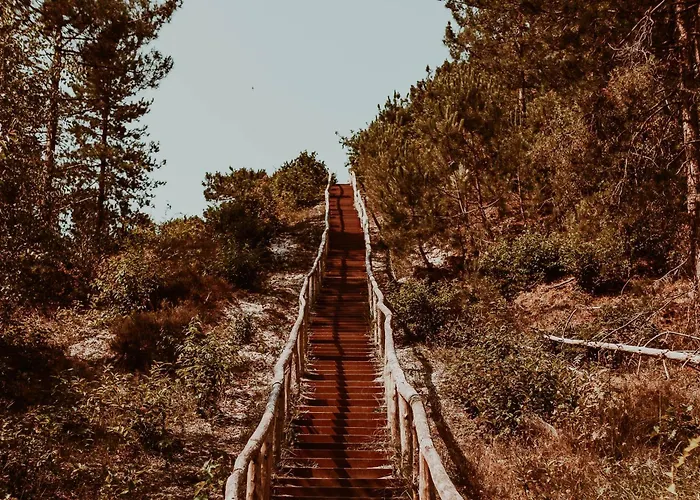 Дом отдыха Dutchen Duynvoet Схорл