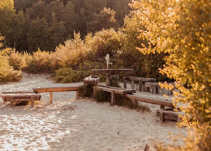 Dutchen Duynvoet Схорл